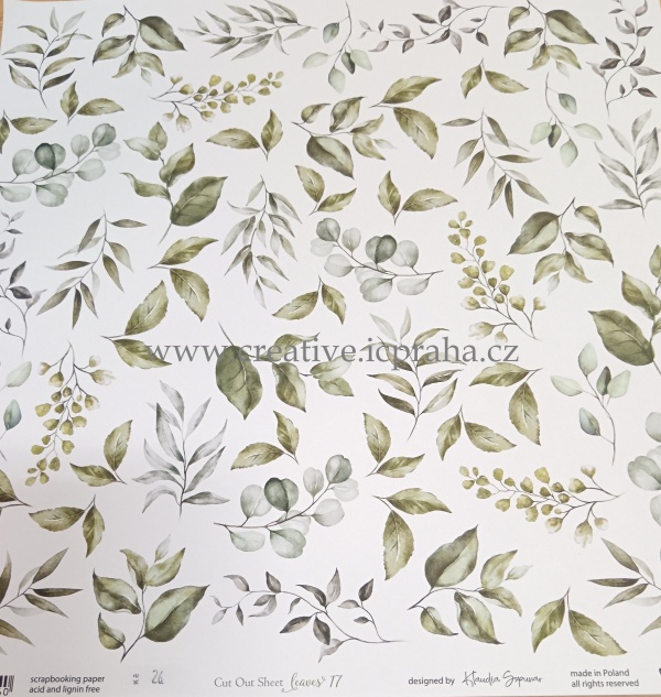 ScrapAndMe Listy 17 30.5x30.5cm 250g/m2